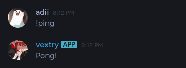 ping command
